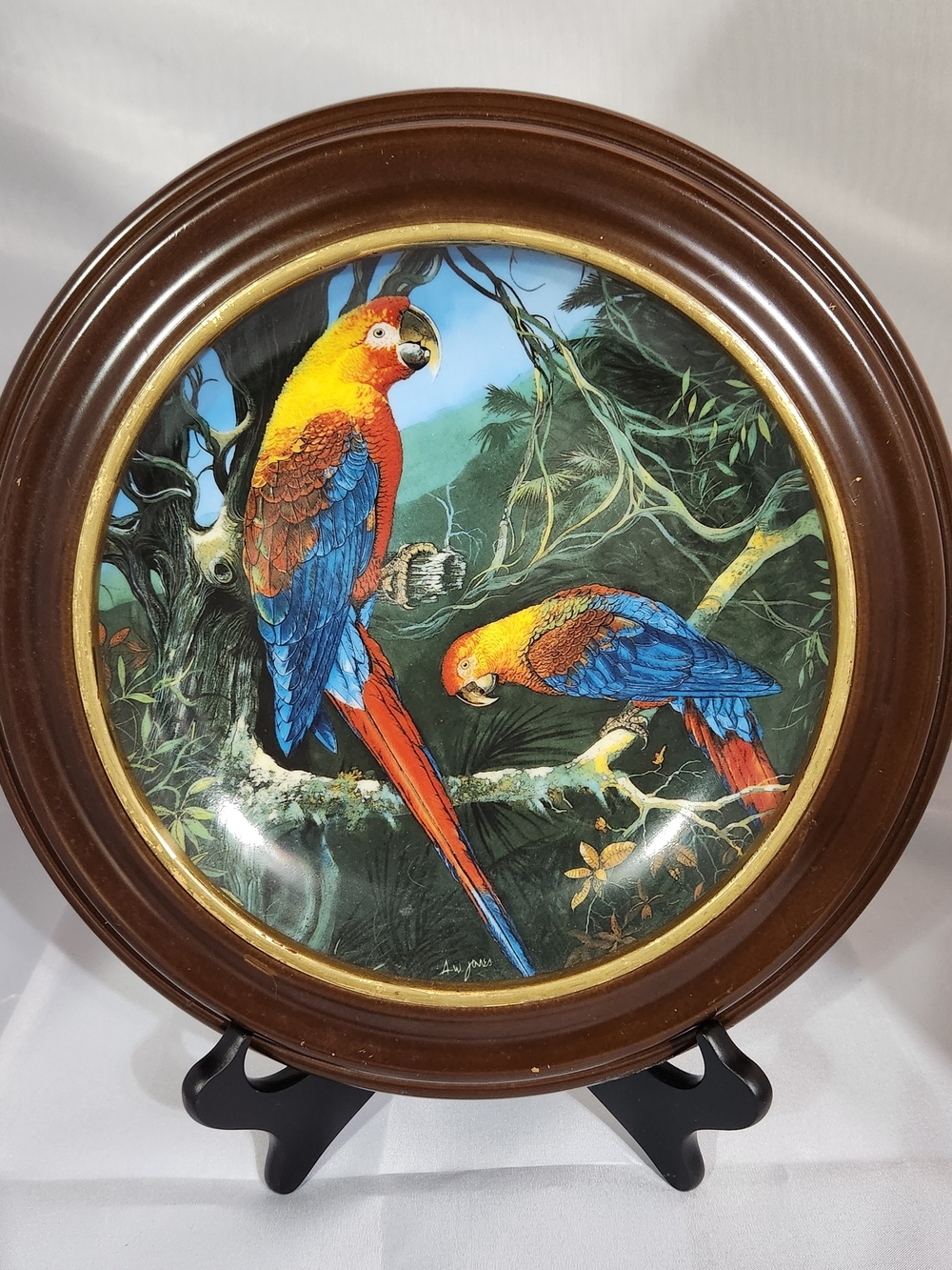 Colorful Parrot Decorative Wall Plate in Brown Frame